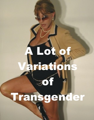 Transgender Landscape